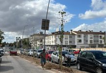 Inca reforça el seu verd urbà amb més de 2.300 noves plantacions durant 2025