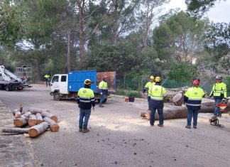 Diverses incidències a Inca a causa del fort vent